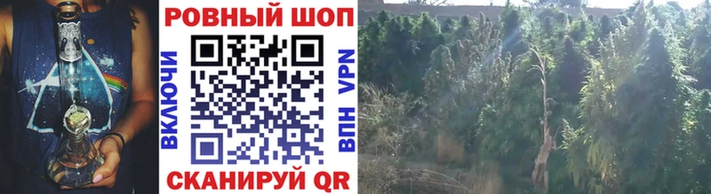 Купить наркотики цена Бородино А ПВП  Мефедрон  ГАШИШ  Канабис  Кокаин 
