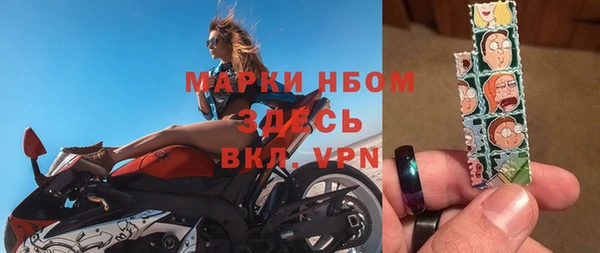 гашик Бородино
