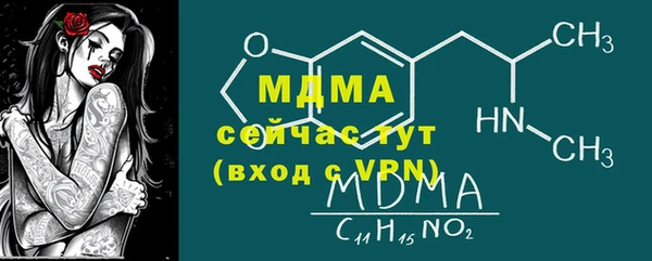 индика Зеленодольск