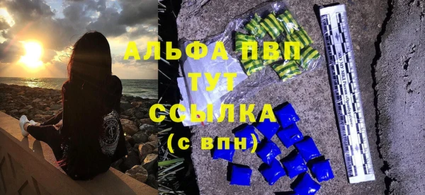 соль ск Богданович
