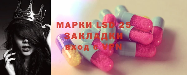 соль ск Богданович
