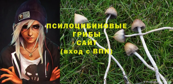 а пвп мука Приозерск