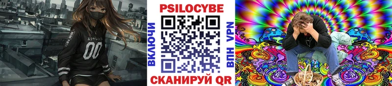 Галлюциногенные грибы Psilocybe Бородино